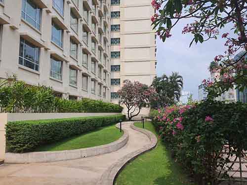 Thiết kế thi công cảnh quan