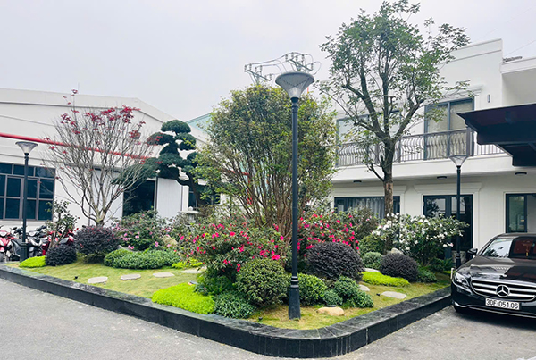 Thiết kế, thi công cảnh quan