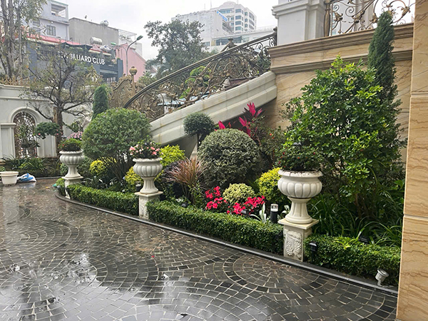 Thiết kế, thi công cảnh quan