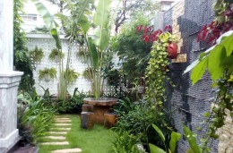Thiết kế thi công sân vườn nhà phố