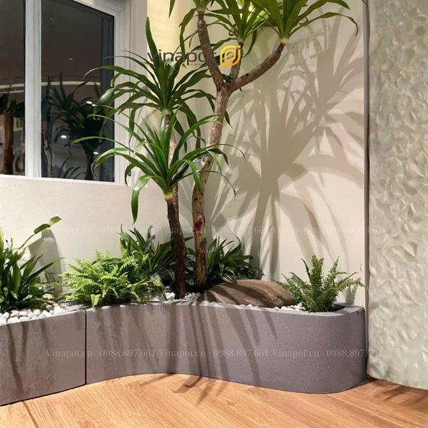 Thiết kế trang trí tiểu cảnh