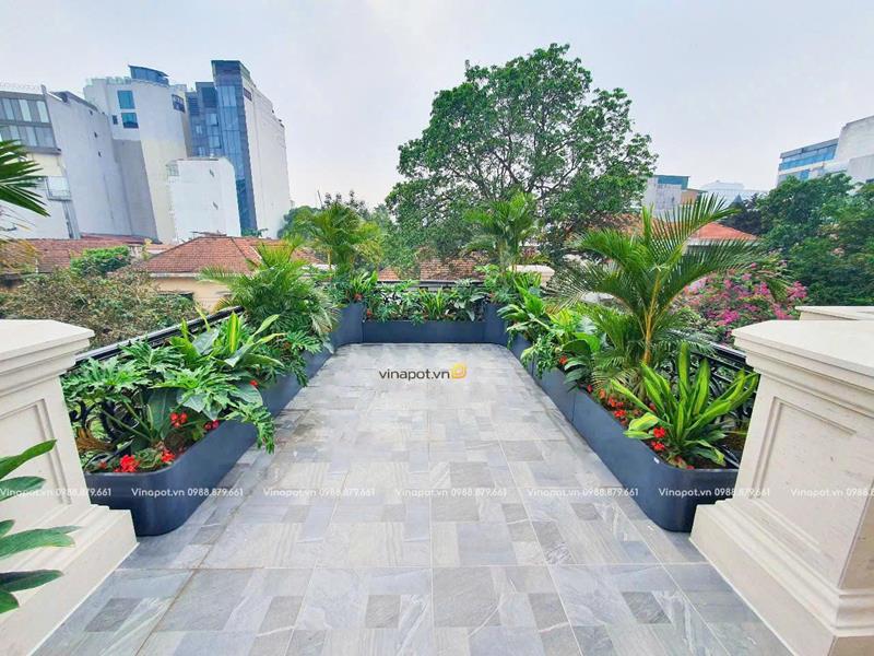 Thiết kế trang trí tiểu cảnh