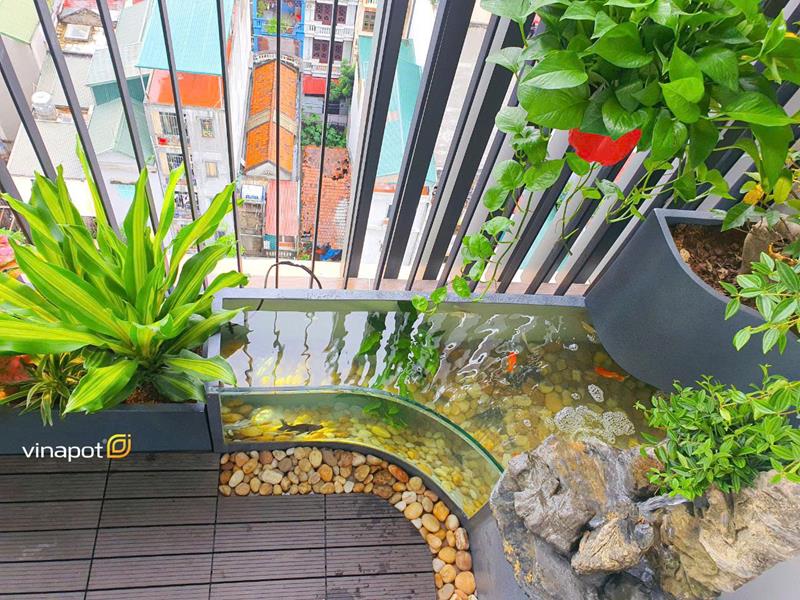 Thiết kế trang trí tiểu cảnh
