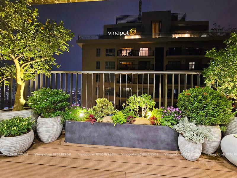 Thiết kế trang trí tiểu cảnh