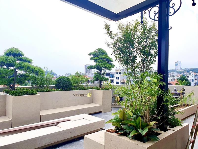 Thiết kế trang trí tiểu cảnh