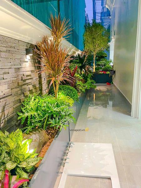 Thiết kế trang trí tiểu cảnh