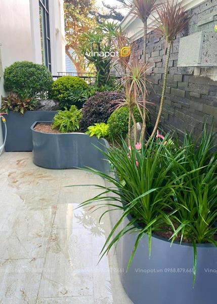 Thiết kế trang trí tiểu cảnh