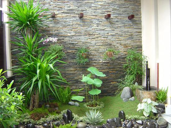 Thiết kế tiểu cảnh