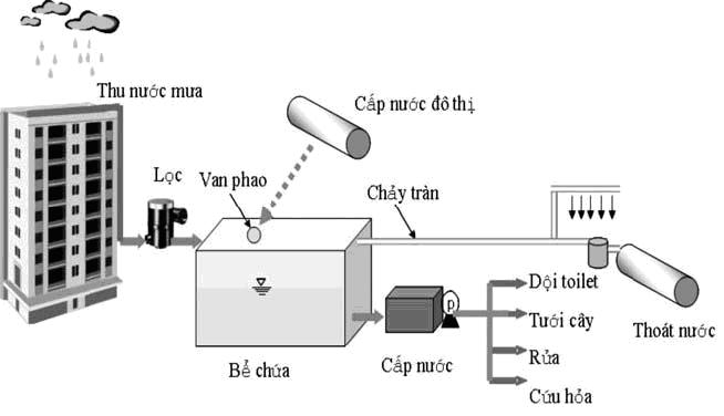 Hệ thống thu gom nước mưa