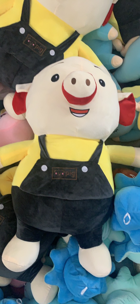 产品与服务