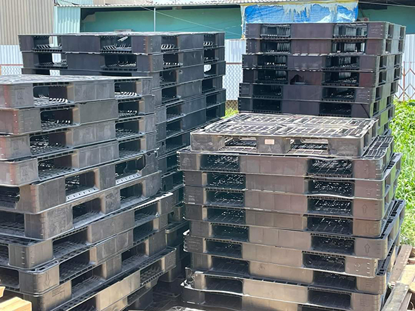 Thu mua pallet nhựa
