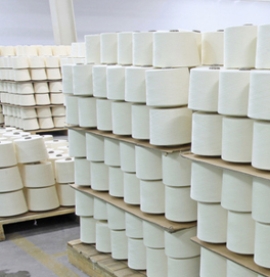 Thu mua sợi CVC 60/40 tồn kho