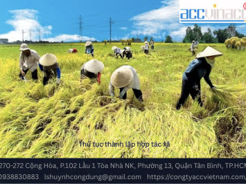 Thủ tục thành lập hợp tác xã