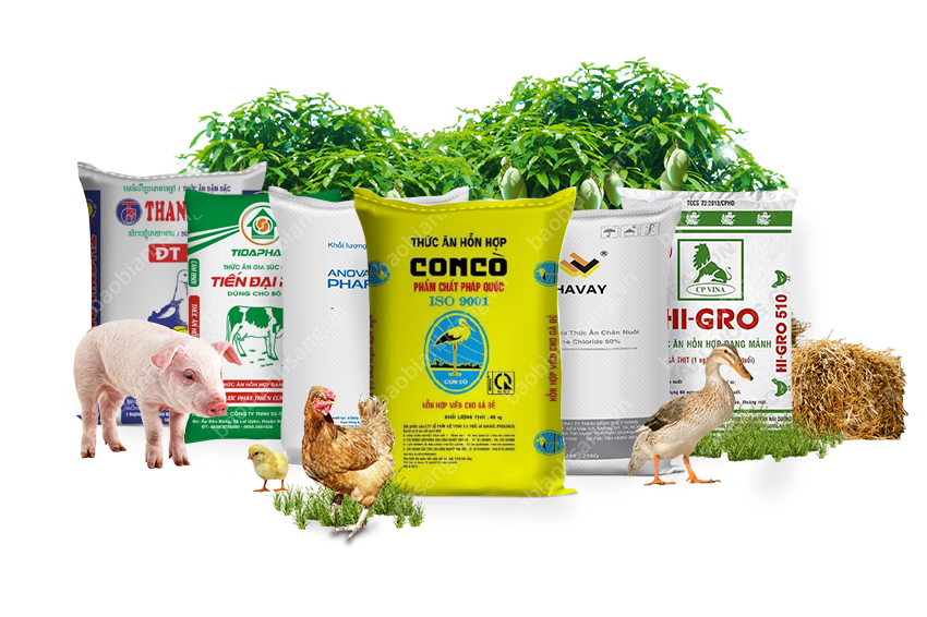 Thúc ăn gia súc