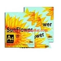 Giấy bìa sun flower A4