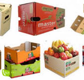 Thùng carton đựng trái cây
