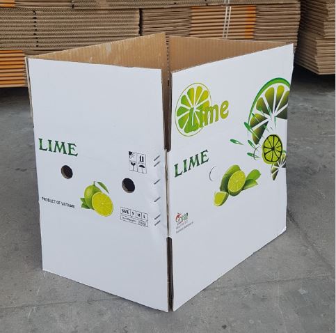 Thùng carton in Offset