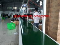 Băng tải tải thùng hàng