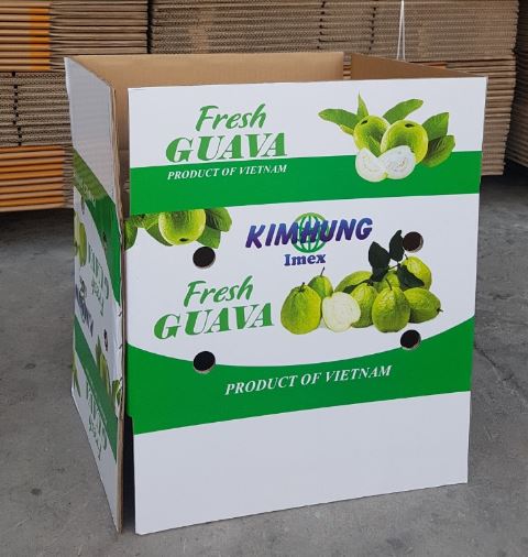 Thùng carton in Offset