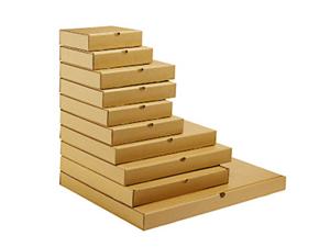 Thùng carton, thùng giấy