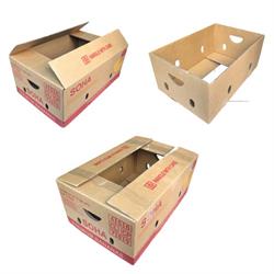 Thùng carton 5 lớp