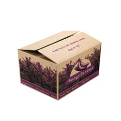 Thùng carton 5 lớp