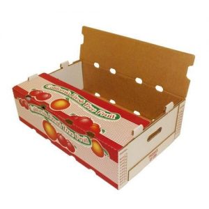 In thùng carton đựng trái cây