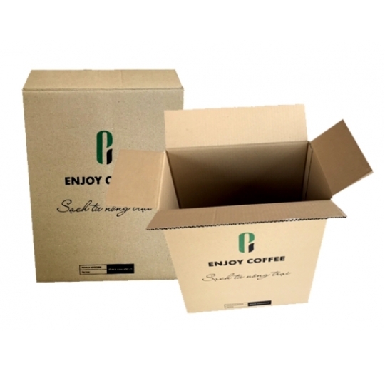 Thùng in Flexo 2 màu