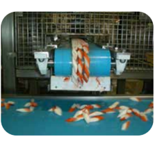 Băng tải thủy hải sản