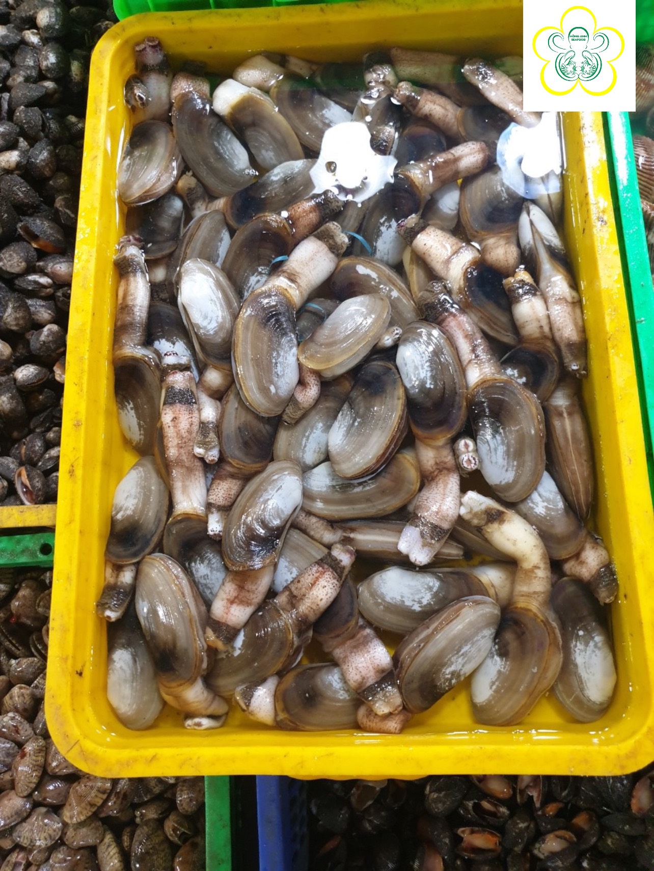 bao bì thủy sản