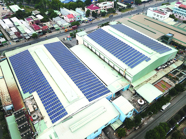 Dự án thủy sản Vinh Quang