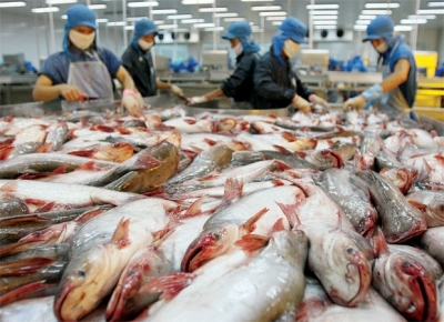 Băng tải thủy sản