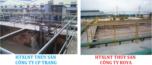 Hệ thống xử lý nước thải thủy sản