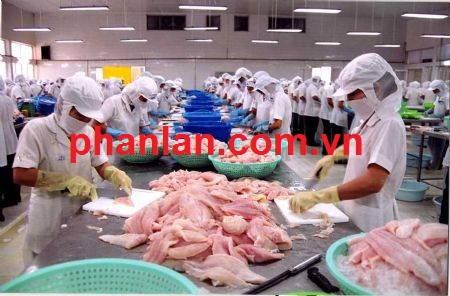 Xử lý nước thải thủy sản