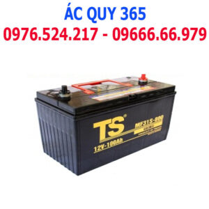 TS 100Ah: MF31S-800