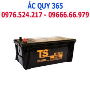 TS 120Ah: MF135F51