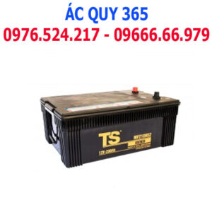 TS 200Ah: MF210H52