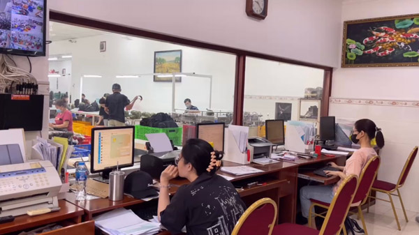 Tiếp nhận thông tin