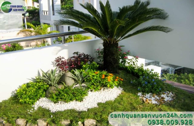 Thi công tiểu cảnh