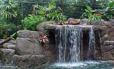 Tiểu cảnh sân vườn