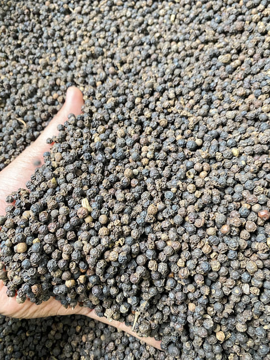 Tiêu đen 550 G/L FAQ