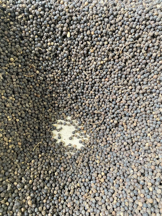 Tiêu đen 550 G/L FAQ
