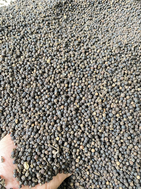 Tiêu đen 550 G/L FAQ