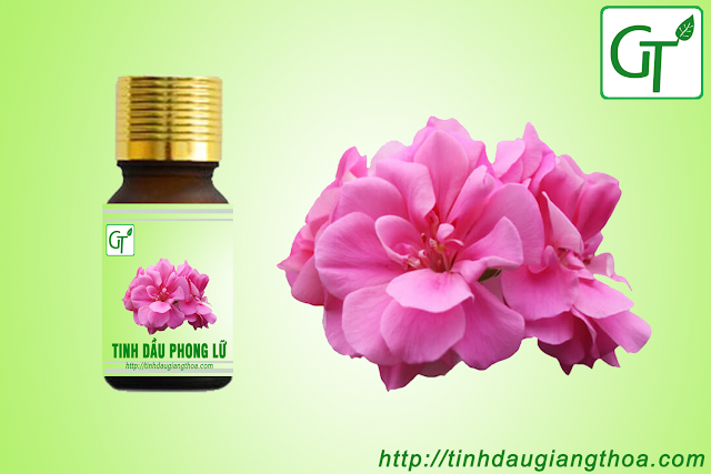 Tinh dầu hoa phong lữ
