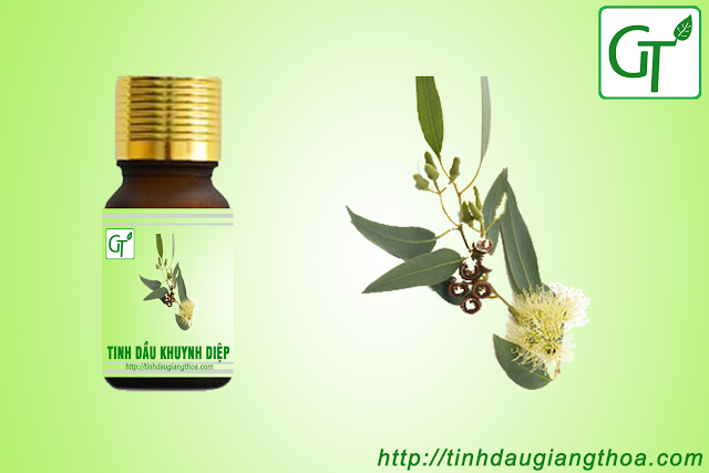 Tinh dầu khuynh diệp