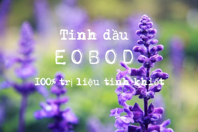 Tinh dầu oải hương