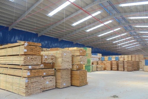 Gỗ thông nhập khẩu