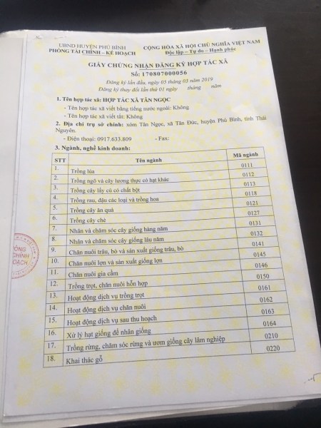 Giấy chứng nhận
