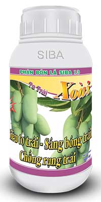To trái xoài