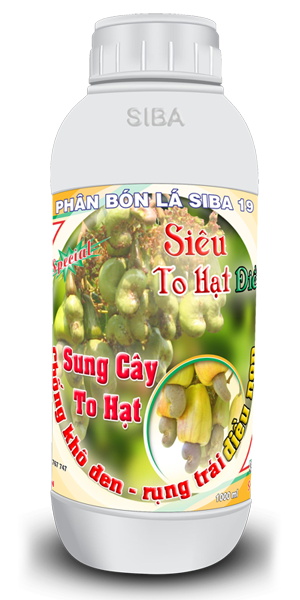 Phân bón to hạt điều